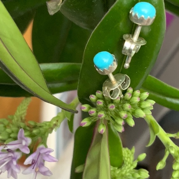 Sterling Silver Turquoise Stud Earrings - Picture 2 of 3